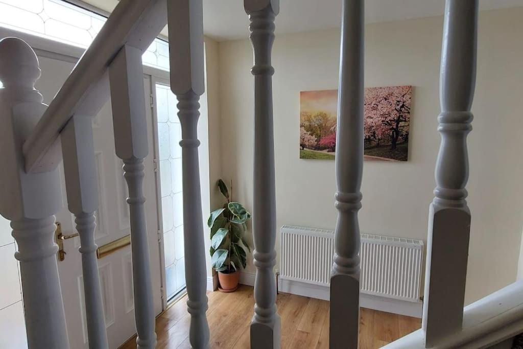 Modern Countryside Apartment Killmallock Lodge إينيسكورثي المظهر الخارجي الصورة